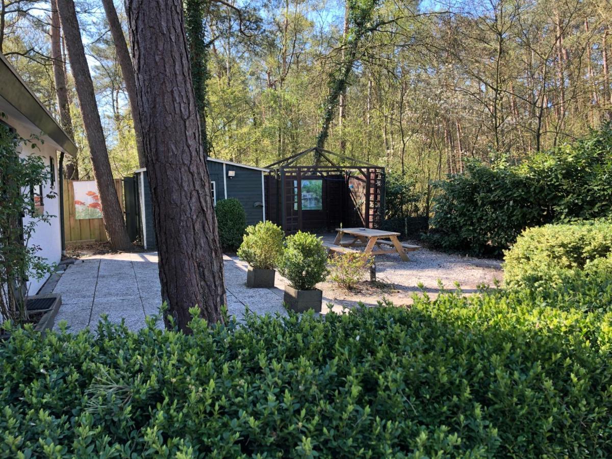 Chalet Dennenvelt Villa Doornspijk Bagian luar foto